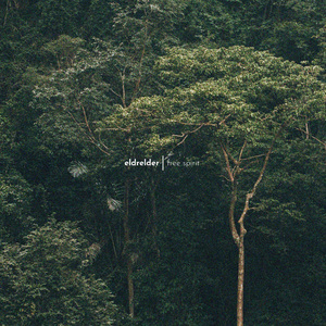 轮奸大奶骚货在线视频
