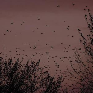 轮奸大奶骚货在线视频
